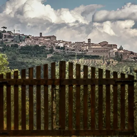 Di Costantino