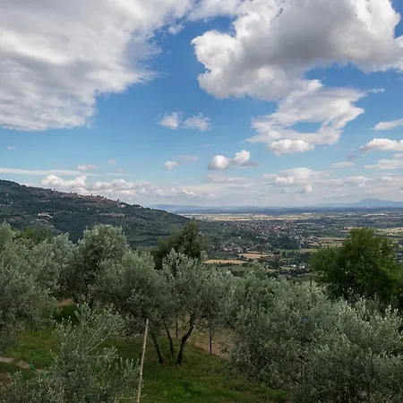 Di Costantino