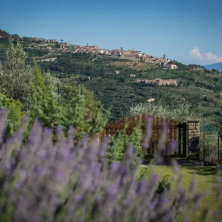 Villa Di Costantino